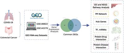 The influence of COVID-19 on colorectal cancer was investigated using bioinformatics and systems biology techniques